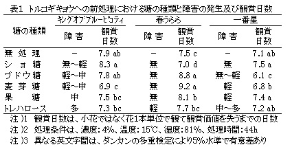 表1