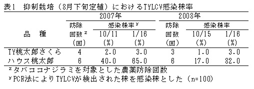 表1