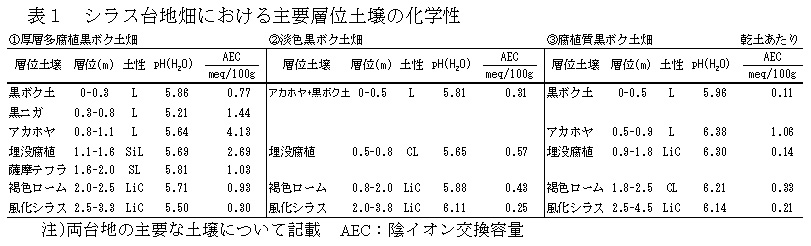 表1