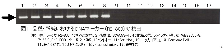 図1