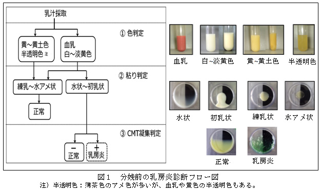 図1