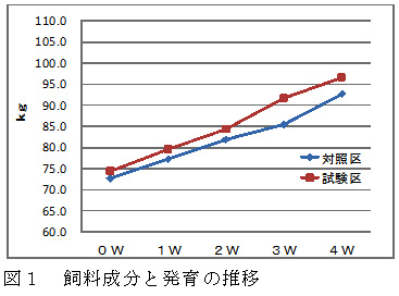 図1