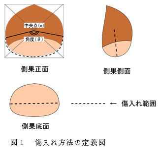 図1