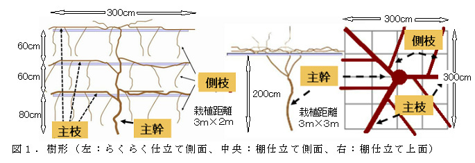 図1