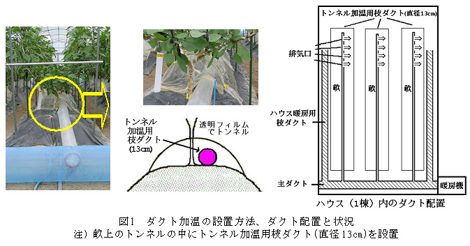 図1