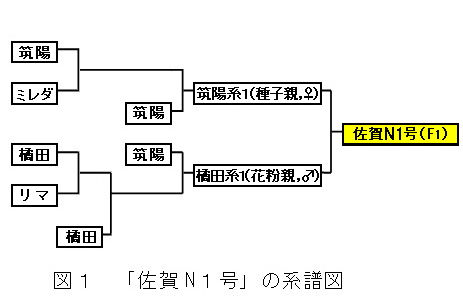 表1