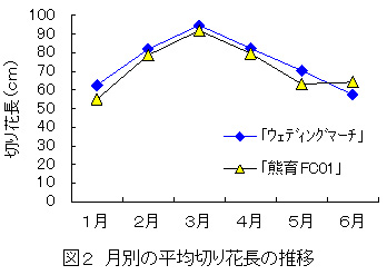 図2