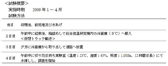 表