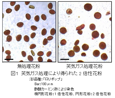 図1