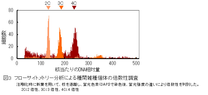 表3