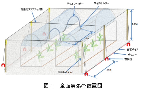 図1