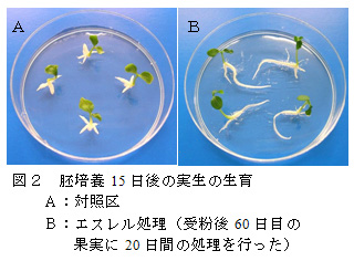 図2