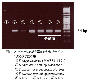 図2