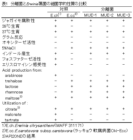 表1