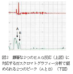 図2