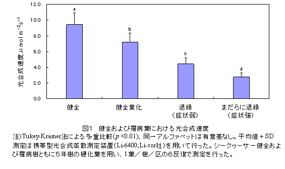 図1