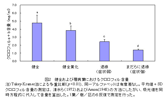 図2