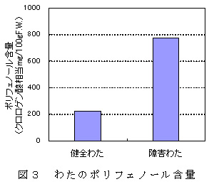 図3