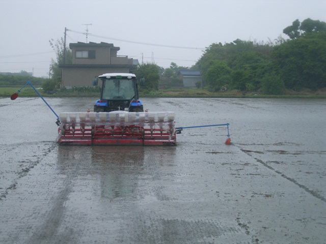 播種作業の状況