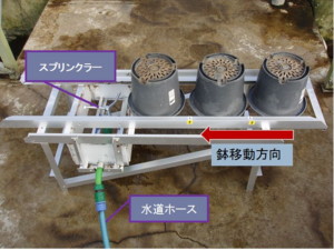 写真4 考案した鉢洗浄機の本体