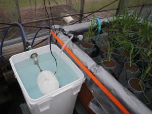 写真4 試験期間中の水位を一定にする装置