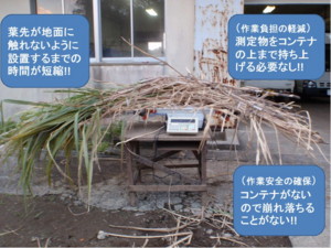 写真3 改良した秤量台での測定