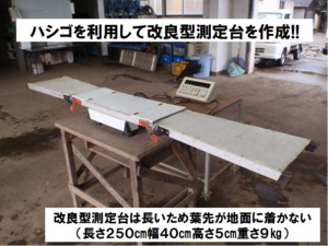 写真4 改良型測定台