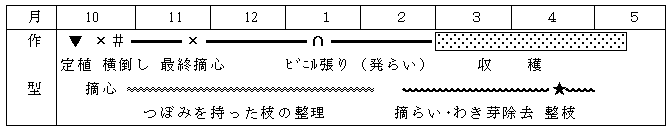 九州沖縄農業研究センター 新規野菜 花き栽培技術マニュアル 農研機構