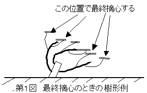 九州沖縄農業研究センター 新規野菜 花き栽培技術マニュアル 農研機構