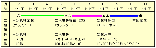 二段階採苗法