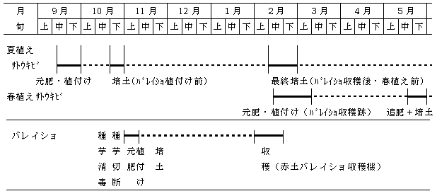 九州沖縄農業研究センター 新規野菜 花き栽培技術マニュアル 農研機構