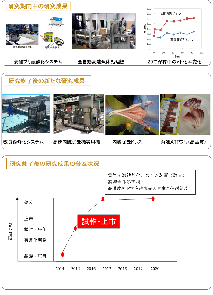 優良アコヤガイの導入等による真珠品質の向上と安定化の実証研究