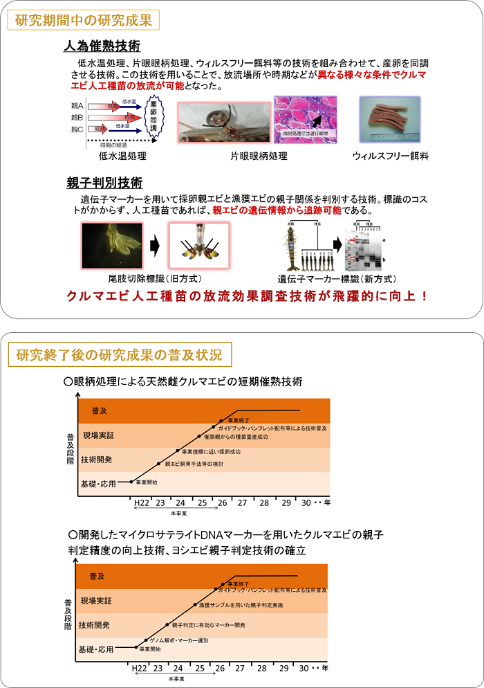 優良アコヤガイの導入等による真珠品質の向上と安定化の実証研究