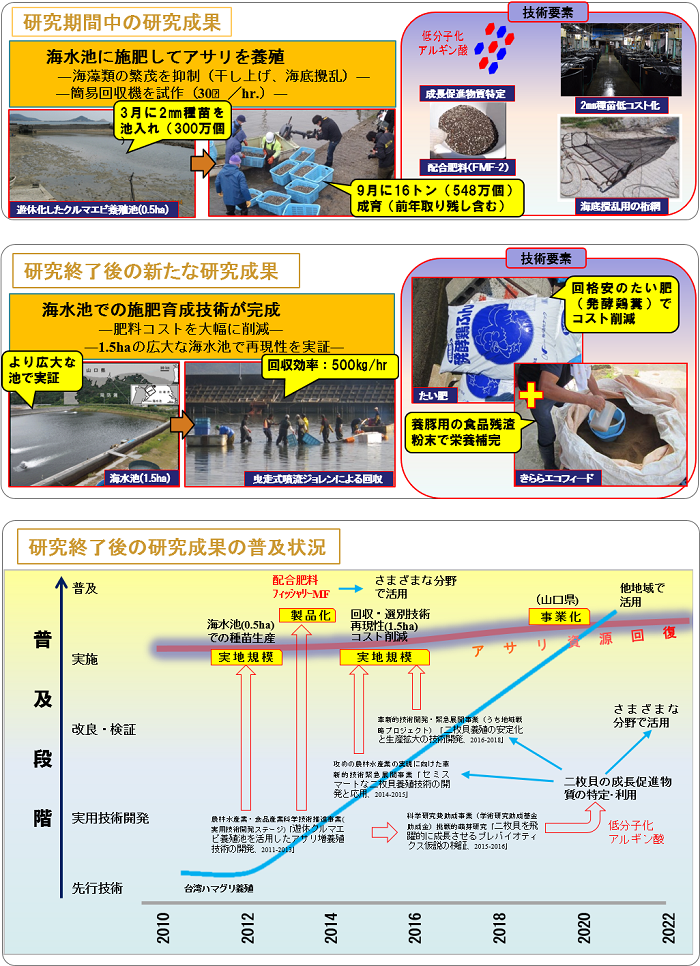 優良アコヤガイの導入等による真珠品質の向上と安定化の実証研究