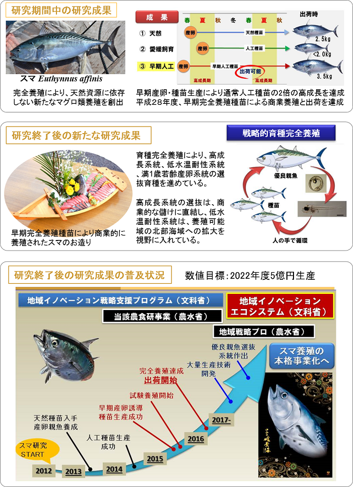 優良アコヤガイの導入等による真珠品質の向上と安定化の実証研究