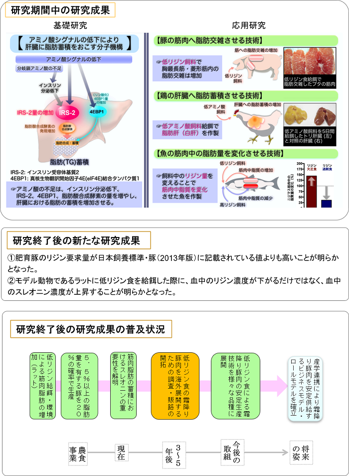 (25006A) アミノ酸シグナルを利用した高品質食資源の開発技術の確立