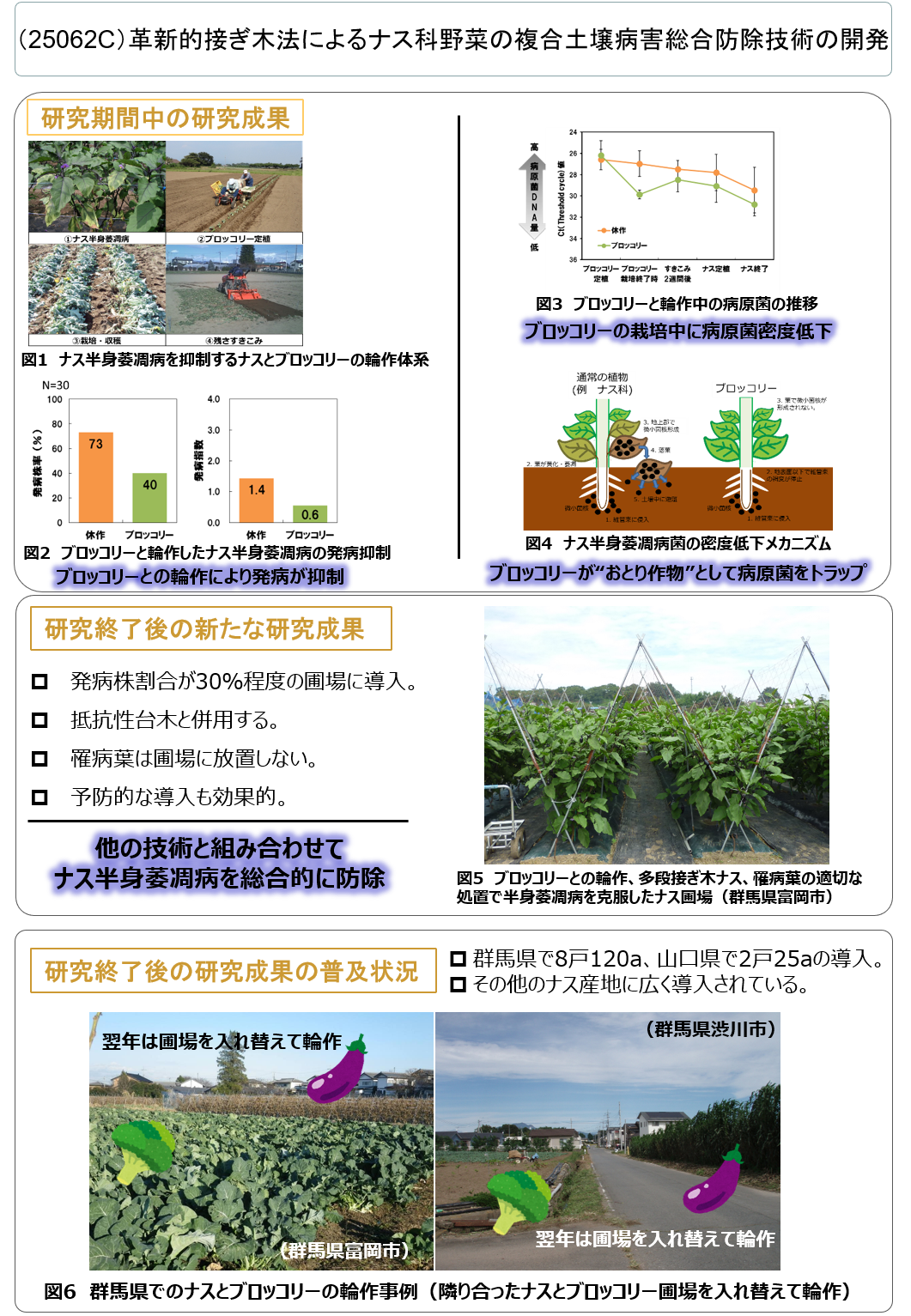(25062C) 革新的接ぎ木法によるナス科野菜の複合土壌病害総合防除技術の開発