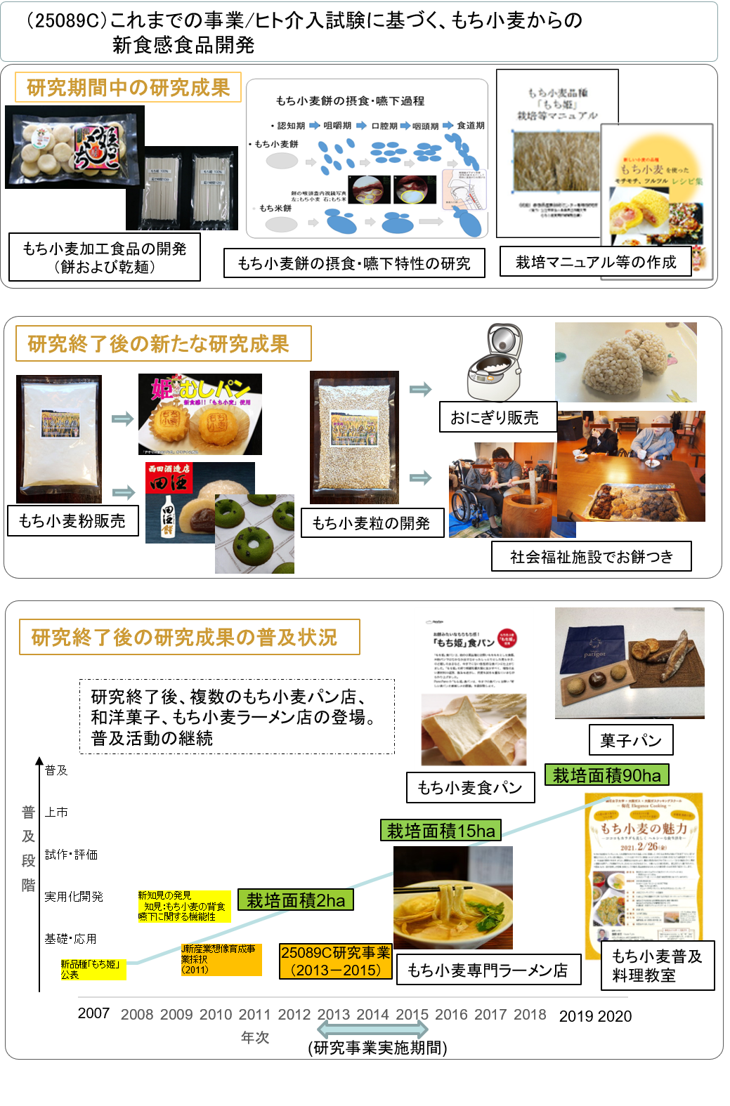 (25089C) これまでの事業/ヒト介入試験に基づく、もち小麦からの新食感食品開発