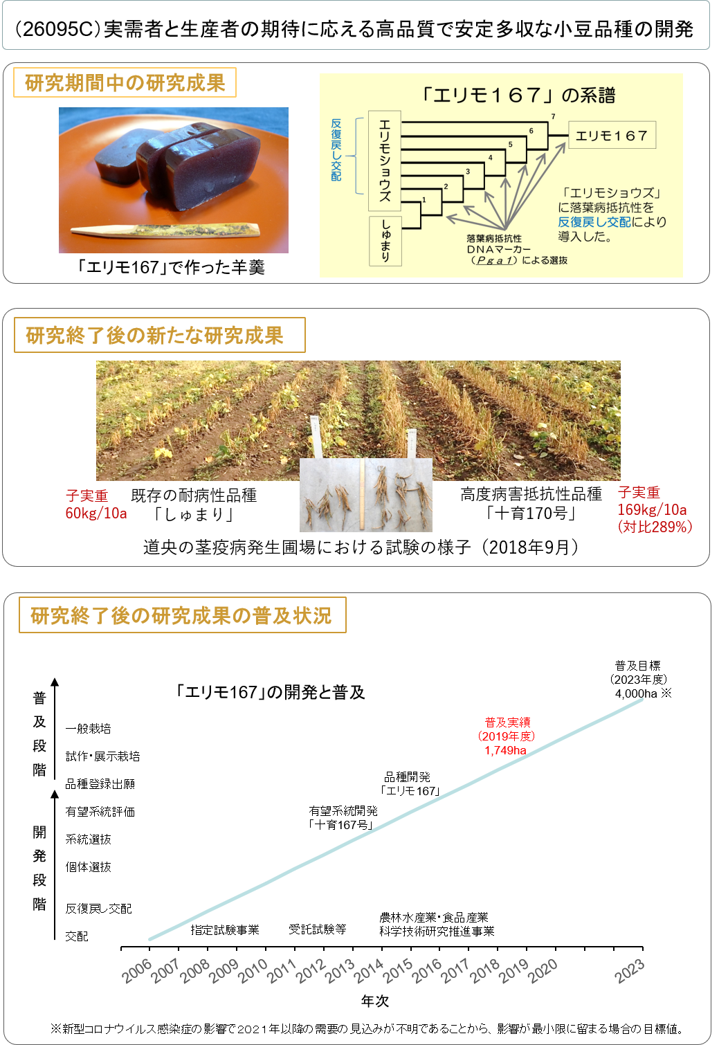 (26095C)実需者と生産者の期待に応える高品質で安定多収な小豆品種の開発