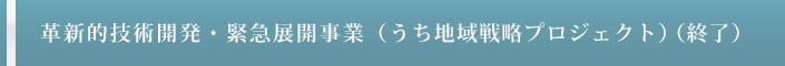 革新的技術開発・緊急展開事業 