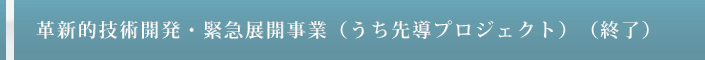 革新的技術開発・緊急展開事業 
