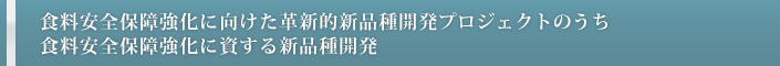 食料安全保障強化に向けた革新的新品種開発プロジェクト