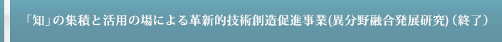 異分野融合発展研究