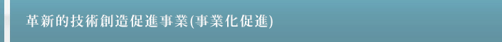 革新的技術創造促進事業(事業化促進)