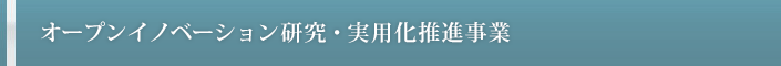 オープンイノベーション研究・実用化推進事業