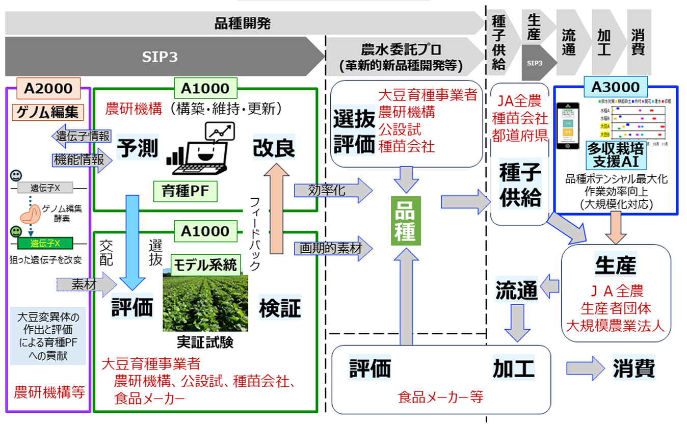 目指す社会実装の姿