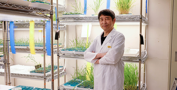 農研機構 生物機能利用研究部門  今井亮三先生