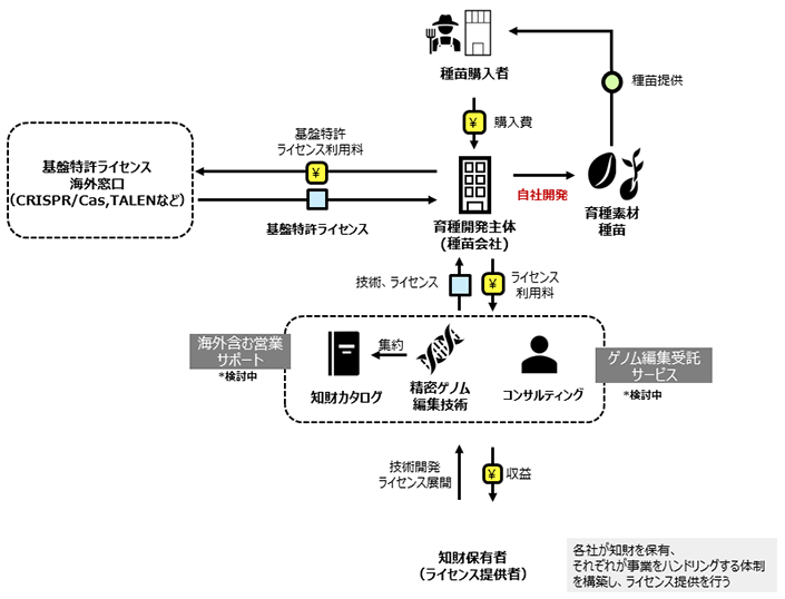 社会実装のイメージ