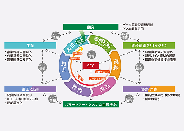 SFS図