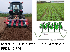 hokurikusakumotusaibai20200410.png